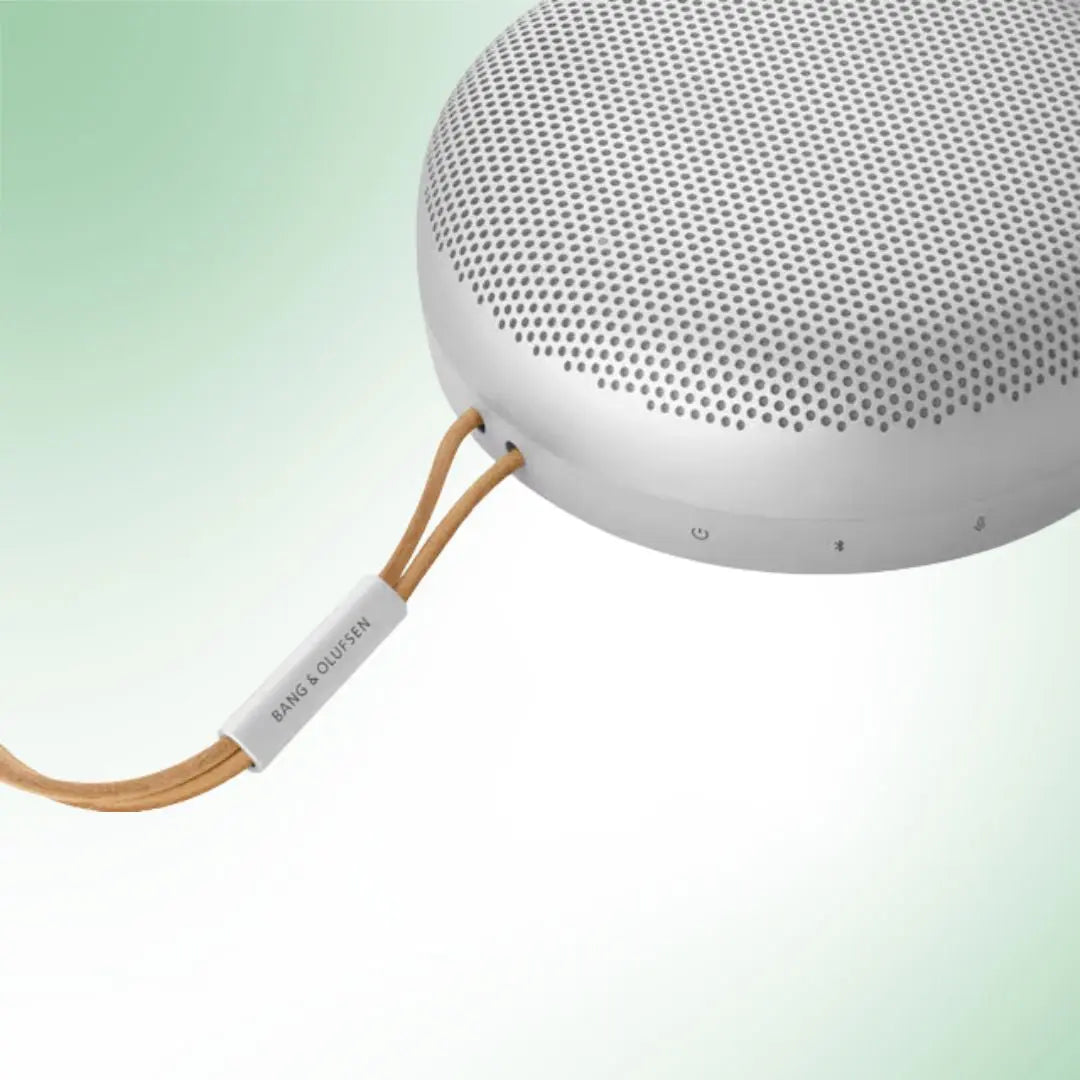 Bang & Olufsen Beosound A1, 2.Gen Grå Bang & Olufsen