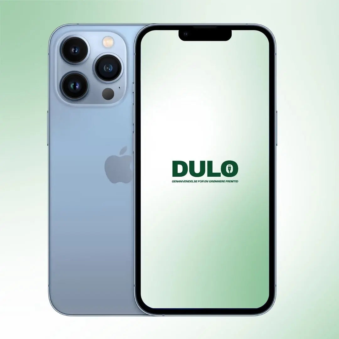 iPhone 13 pro max Skyfri